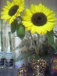 06-05-22_13-15.jpg
