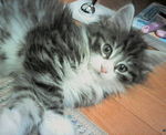200604182257000.jpg