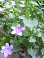 2011050116000000.jpg