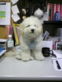 2011053120380000.jpg