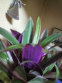 2011070921250001.jpg
