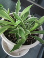 2011080512180000.jpg