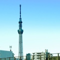 IMG_4611.jpg