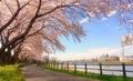 Image-1-129.jpg