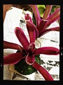Image-1-134.jpg