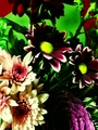 Photo-3.jpg