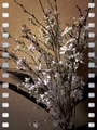 Photo-5.jpg