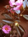 Photo1-12.jpg