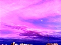 Photo1-16.jpg