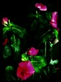 Photo1-21.jpg