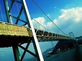Photo1-26.jpg