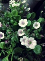 Photo1-28.jpg