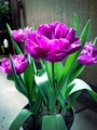 Photo1-30.jpg