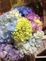 Photo1-39.jpg