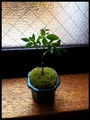 Photo1-9.jpg