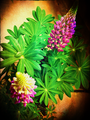 pixlr-10.png