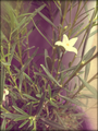 pixlr-20.png
